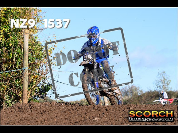 IntersGreenOrange-076