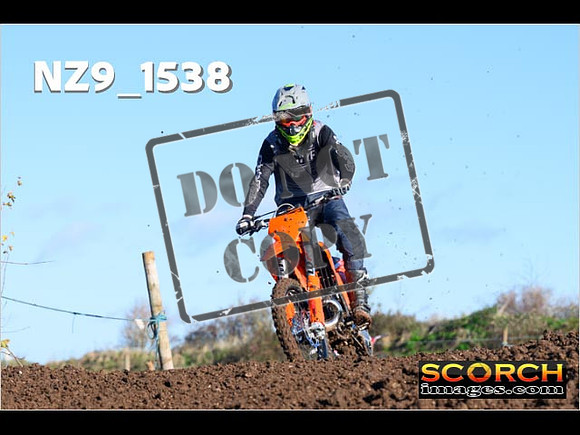 IntersGreenOrange-077