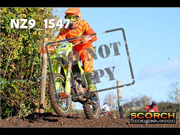 IntersGreenOrange-085