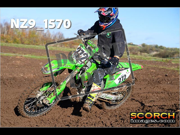 IntersGreenOrange-107