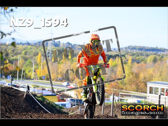 IntersGreenOrange-131