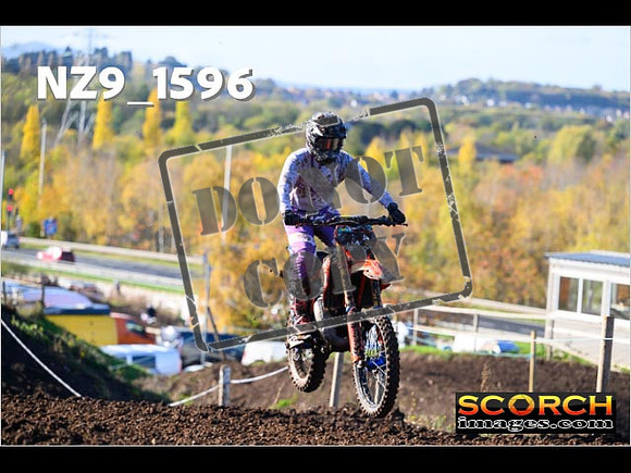 IntersGreenOrange-133