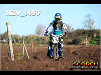 IntersGreenOrange-003
