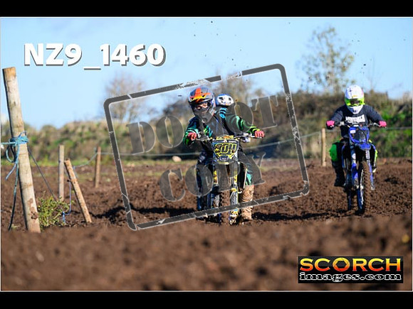 IntersGreenOrange-004