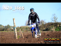 IntersGreenOrange-009