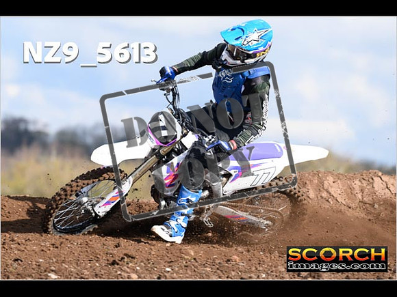 Experts-121