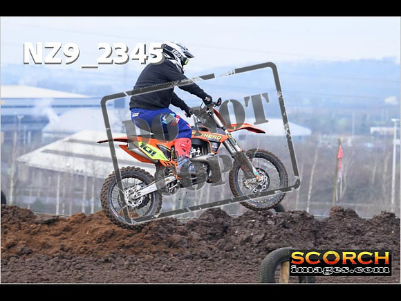 IntersGreenOrange-058