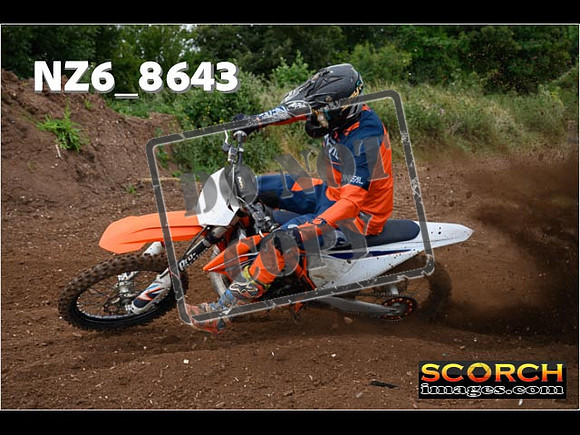 Experts-054