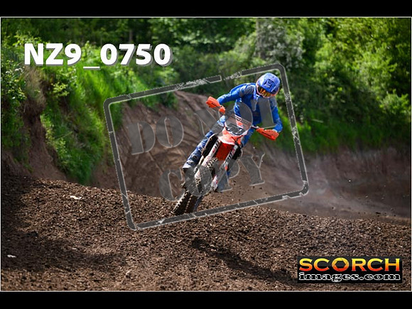 IntersGreen-282