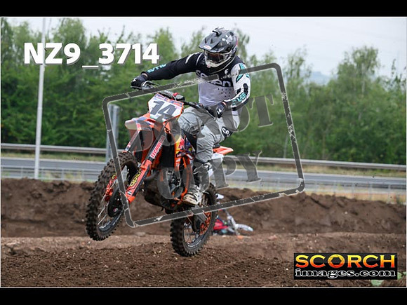 IntersGreenOrange-079