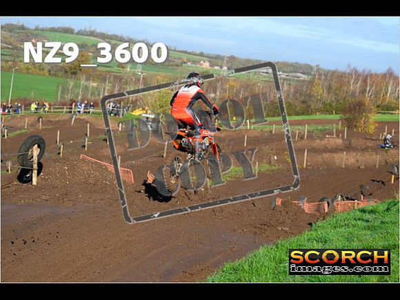 Experts-058
