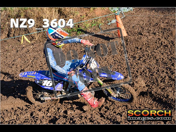 Experts-062