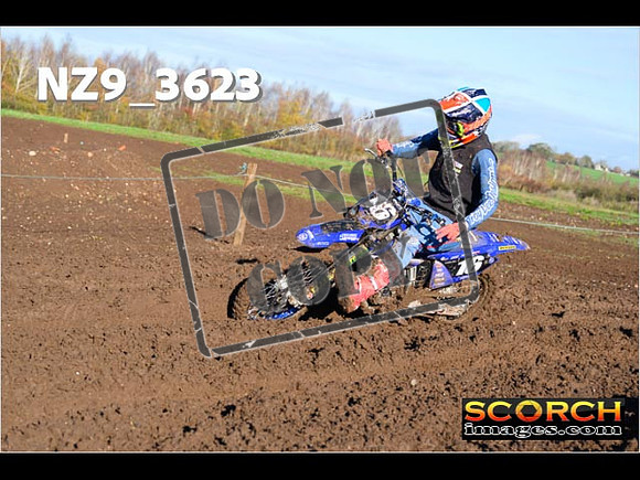Experts-079