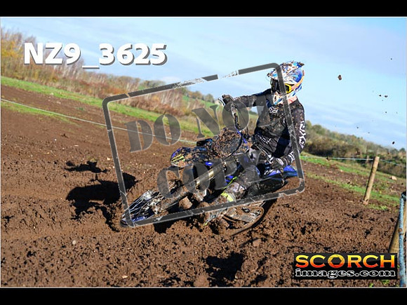Experts-081