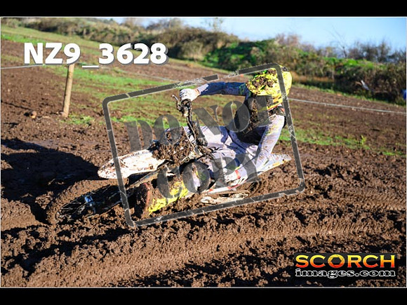 Experts-084