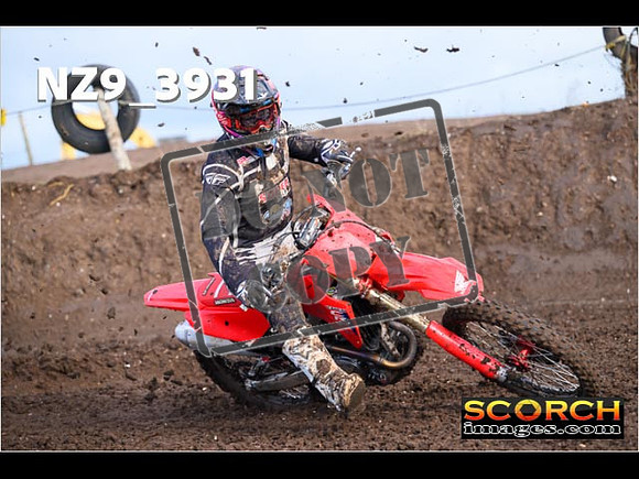 Experts-090