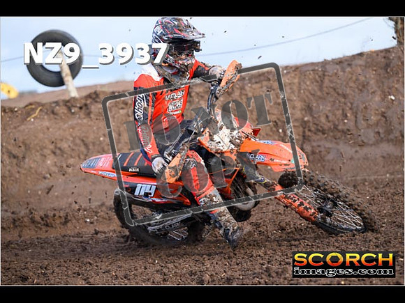 Experts-095