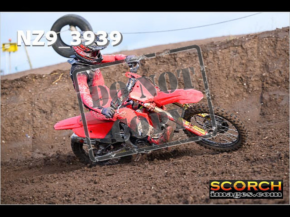Experts-097