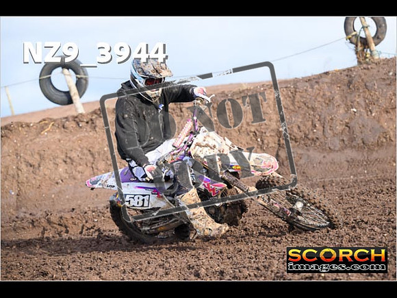 Experts-102