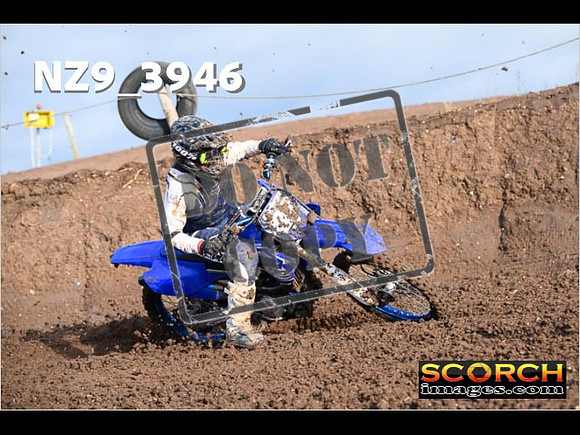 Experts-104