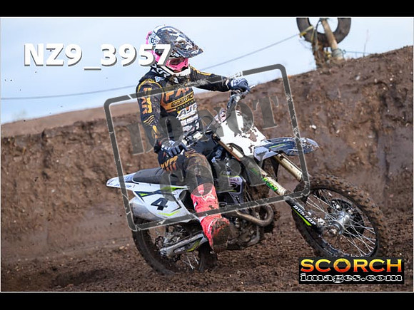 Experts-115