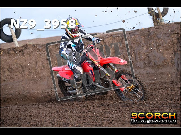 Experts-116