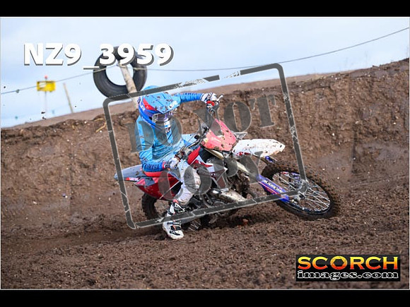 Experts-117