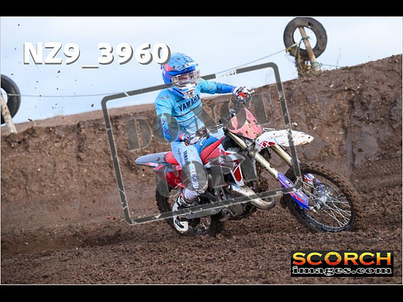 Experts-118