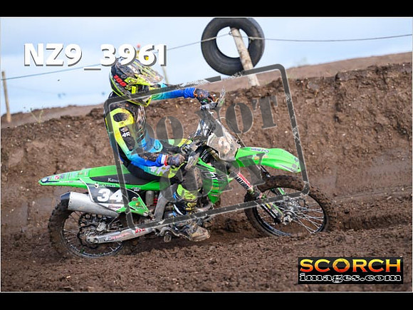 Experts-119