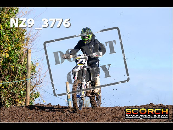 IntersGreen-032