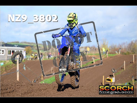 IntersGreen-057