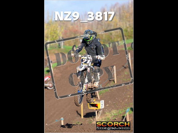IntersGreen-072
