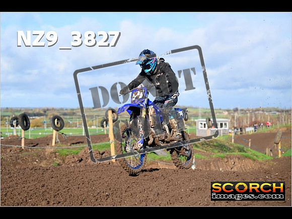 IntersGreen-082