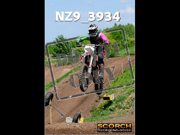 InterGreen-217