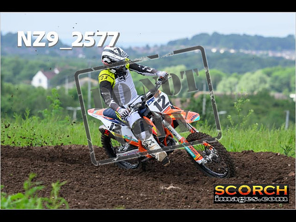 Experts-025