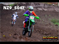 Experts-019