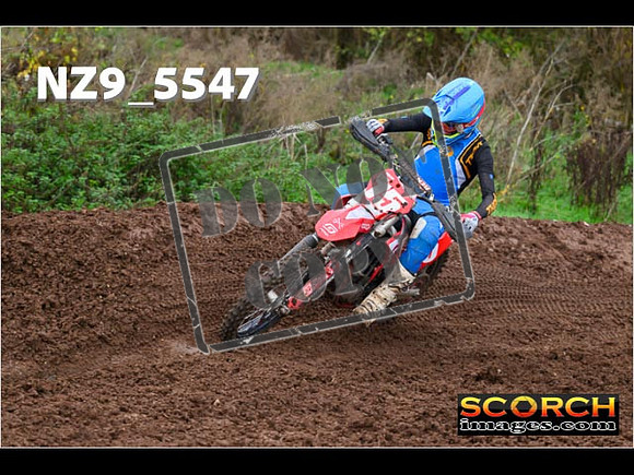 Experts-122