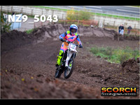 Experts-015