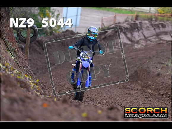 Experts-016
