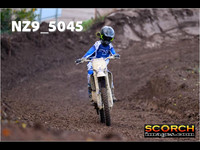 Experts-017