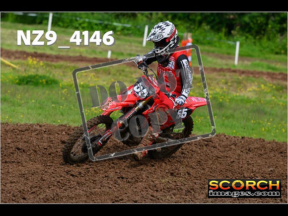 Novice-100