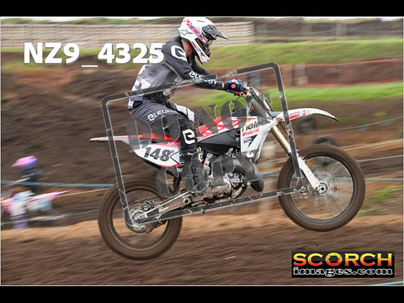 Experts-172