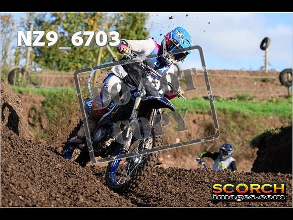 Experts-098