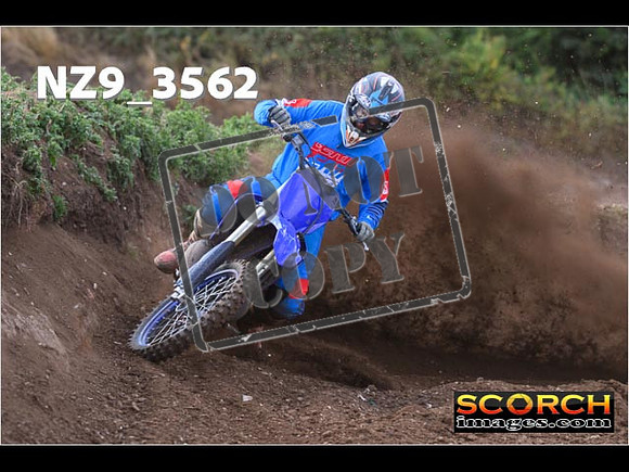 Experts-119