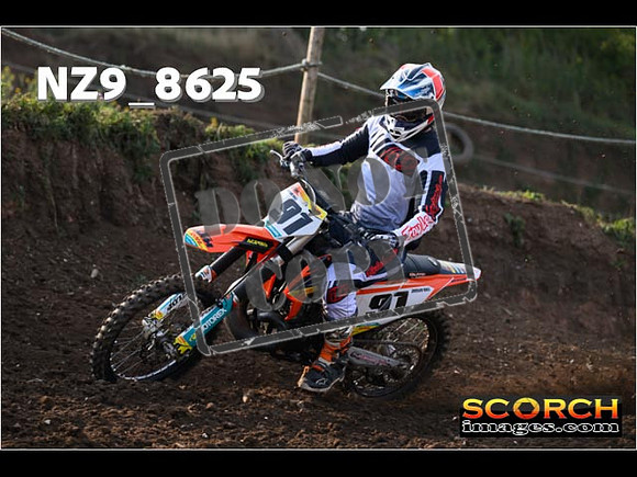 Experts-033