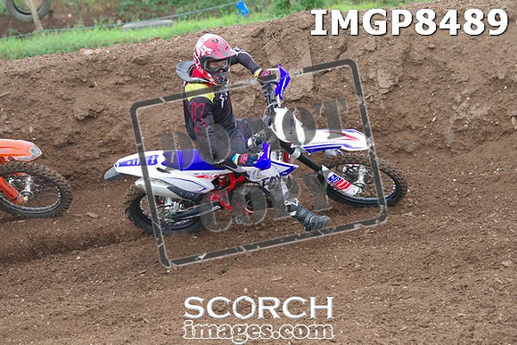 IMGP8489