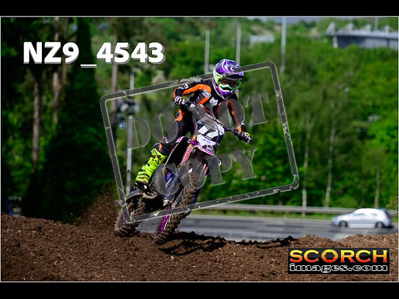 Experts-050