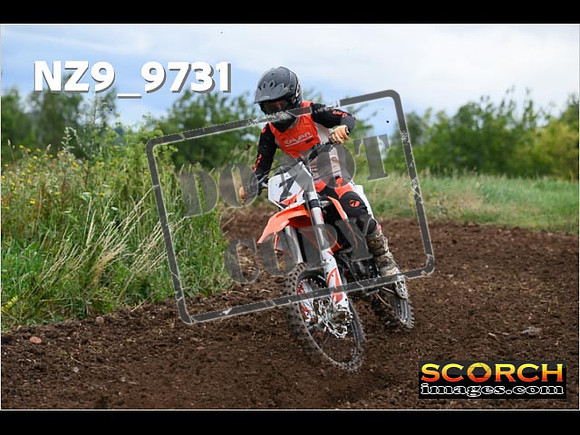 Experts-123