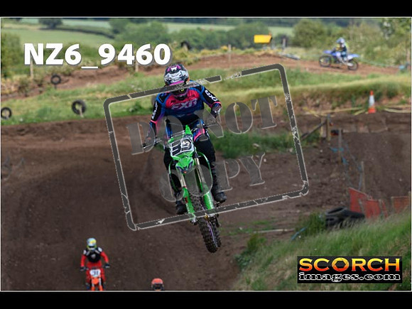 Experts-225