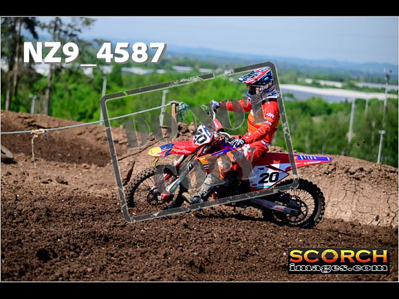 Experts-091